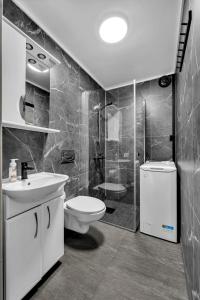a bathroom with a toilet and a sink and a shower at Målselv Fjellandsby - Cabins in Bardufoss