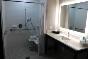 a bathroom with a sink and a shower and a mirror at Holiday Inn Express Shawnee, an IHG Hotel in Shawnee