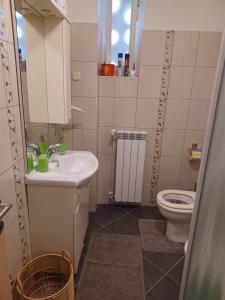 a bathroom with a sink and a toilet at Apartman Pometo II in Poreč
