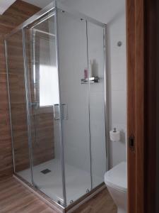 a glass shower in a bathroom with a toilet at Apartamento Salgueiro ORTIGUEIRA in Santa Marta de Ortigueira +17 photos