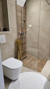 a bathroom with a toilet and a shower at Friends Vlašić in Vlasic