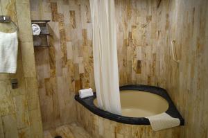 a bathroom with a shower with a toilet in it at Hotel Century Reforma in Mexico City