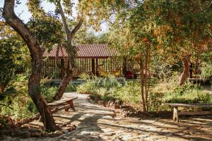 Κήπος έξω από το Pousada Trijunção