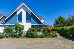 a blue and white house with a brick driveway at Ginster in Zingst