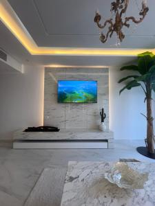 TV a/nebo společenská místnost v ubytování Luxueux appart-hotel