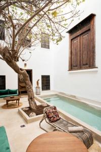 マラケシュにあるRIAD Ylha MARRAKECHの部屋の中央に木が植えられたプール