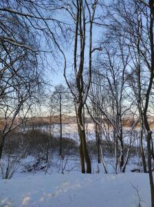 Příroda nedaleko prázdninového domu