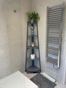 a blue shelf in a bathroom with a toilet at Little gem at foot of Malvern Hills in Great Malvern