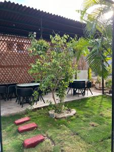a tree in a yard with a table and chairs at CASA FLOR DE LIZ in Villavieja