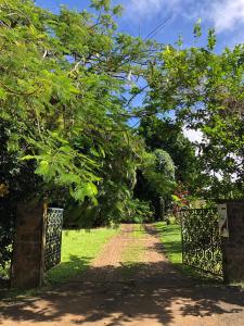 Jardí fora de Between us : Chambres d’hôtes à Saint joseph