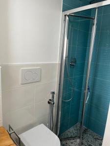 a bathroom with a toilet and a shower at La conchiglia di susy in Capoliveri +14 photos