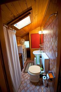 a bathroom with a toilet and a sink at Chalet familiale spacieux - près de Villars in Huémoz