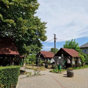 Příroda nedaleko hotelu