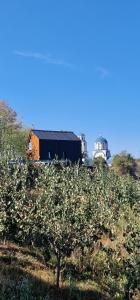 an apple orchard with a building and an apple tree at Porta Bungalows in Rudnik