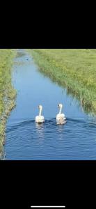 Foto sihtkohas Whitstable asuva majutusasutuse Whitstable tranquility galeriist