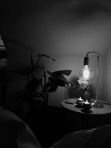 una mesa con una lámpara y una planta en ella en Apartament Zielony Stół, en Gniezno