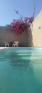 a swimming pool with tables and chairs and pink flowers at CASA DUPLEX EM PENEDO 4 SUÍTES,FINS DE SEMANA e FERIADOS in Itatiaia