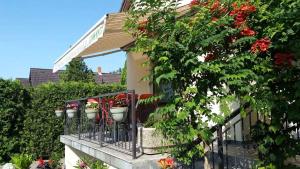 Κήπος έξω από το Apartments in Tihany - Balaton 51544 +7 φωτογραφίες