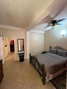 a bedroom with a bed and a ceiling fan at The Seclusive Mansion in Roseau