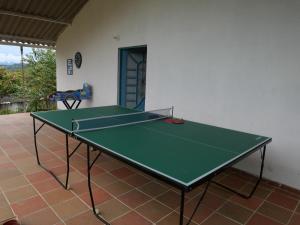 a green ping pong table in a room at Acogedora casa campo en medio de la naturaleza in La Capilla +25 photos