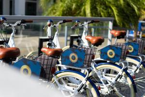 Jízda na kole v ubytování The Grayson Hotel Miami Downtown nebo okolí