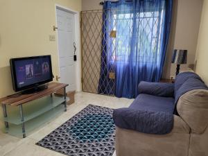 TV a/nebo společenská místnost v ubytování DW apartments