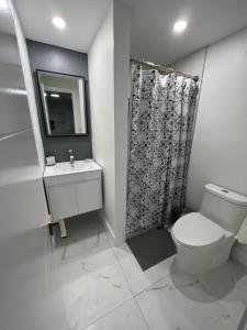 a bathroom with a toilet and a sink and a shower at LYZ Miami Airport in Miami
