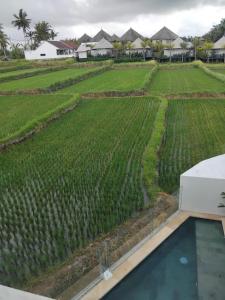 Bazén v ubytování Sujiwa Ubud Hotel & Villa nebo v jeho okolí