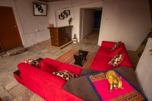 Posezení v ubytování Hotel Encanto de San Blas