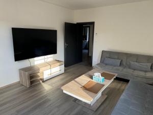 TV a/nebo společenská místnost v ubytování Vila Tanvald s wellness a wallboxem