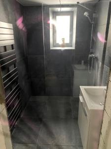 Koupelna v ubytování Vila Tanvald s wellness a wallboxem