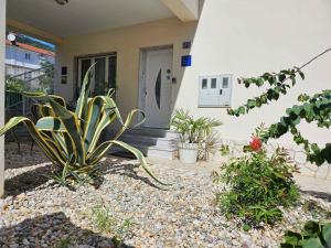 Zahrada ubytování Apartments in Moscenicka Draga 34827