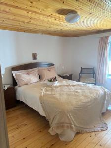 a bedroom with a large bed with a wooden ceiling at Amfipolis Root House in Próti