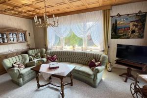 un soggiorno con un divano, un tavolo e una televisione di Vintage Haus AUF DEM HEIDCHEN mit Sauna a Knüllwald