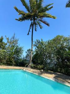 Gallery image of Villa Fiona in Marumbi +60 photos