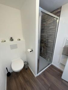 a bathroom with a toilet and a glass shower at Maison de ville- quartier calme in Vitré