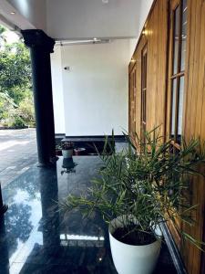 Aed väljaspool majutusasutust Entire Private Luxury Resort in Wayanad - Cinnamon Villa Wayanad