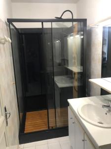 a bathroom with a shower and a sink at vaste chambre familiale in Bourg-en-Bresse +13 photos