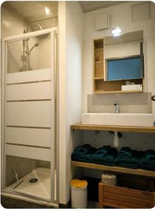 a bathroom with a shower and a sink and a mirror at T2 lumineux avec terrasse lisière de forêt in Égat