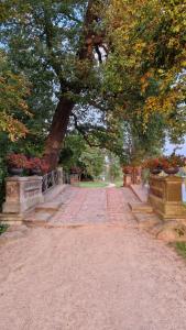 Fotografie z fotogalerie ubytování Ferienwohnung Rust v destinaci Oranienbaum-Wörlitz