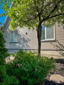 a house with a tree in front of it at Oakwood park apartment in Kaunas +27 photos