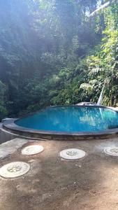 a swimming pool in the middle of a forest at Villa Batari - Artsy Joglo - Private Swimming Pool in Tegalalang