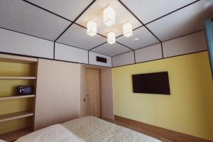 Televiisor ja/või meelelahutuskeskus majutusasutuses Aparthotel Craiova