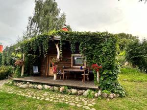 Zahrada ubytování Blockhaus Zahren