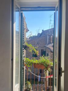 an open window with a pot of plants on a balcony at Casa campo della fiera in San Lorenzo Nuovo