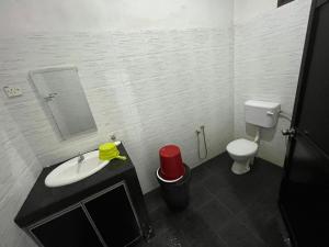 a bathroom with a sink and a toilet at Banat Village Stay in Arau