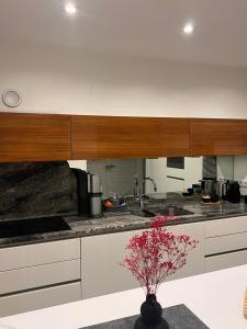 a kitchen with white cabinets and a vase with flowers at Villa GiNa Apartement in Albbruck