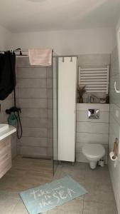 a bathroom with a shower and a toilet and a sink at Uroczy Domek in Złocieniec