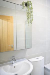 Koupelna v ubytování Silver Pines King bed 2 BR apartment + 25 fotografií