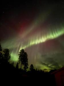Fotografie z fotogalerie ubytování Målselvfossen Feriesenter v destinaci Bardufoss